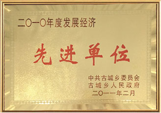 資質
